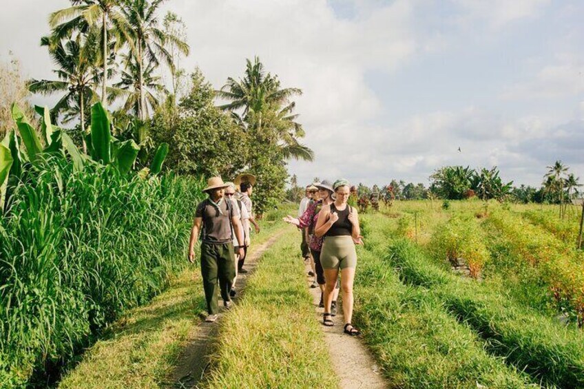 Astungkara Trail 10 Day Bali Coast to Coast Walking Pilgrimage 1