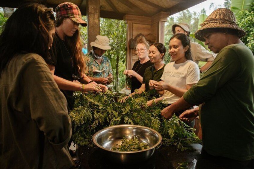 Astungkara Trail 10 Day Bali Coast to Coast Walking Pilgrimage 5