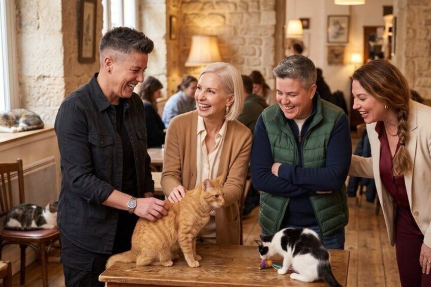 Paris LGBTQ Cat Cafe Tour 5