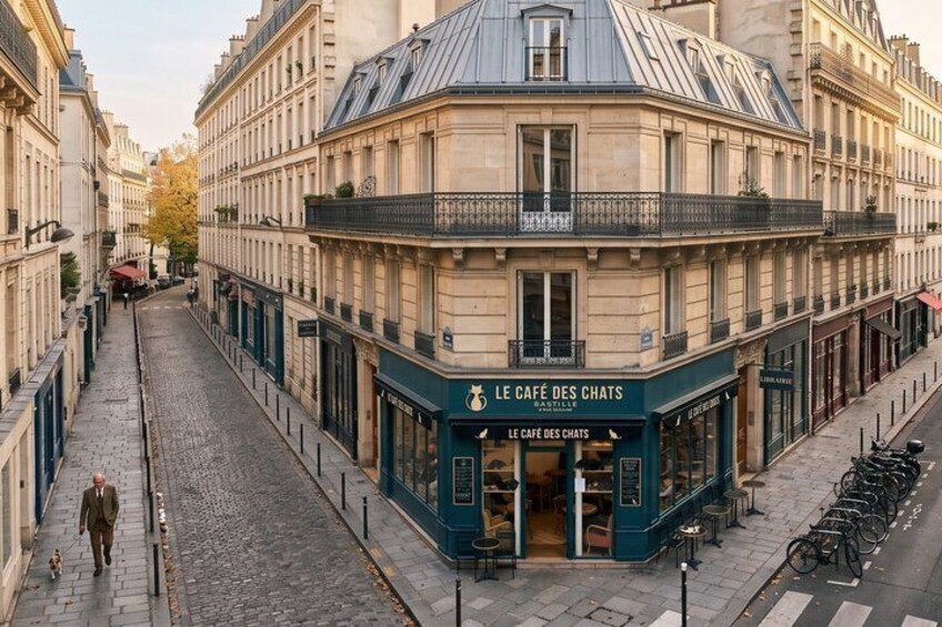 Paris LGBTQ Cat Cafe Tour 4
