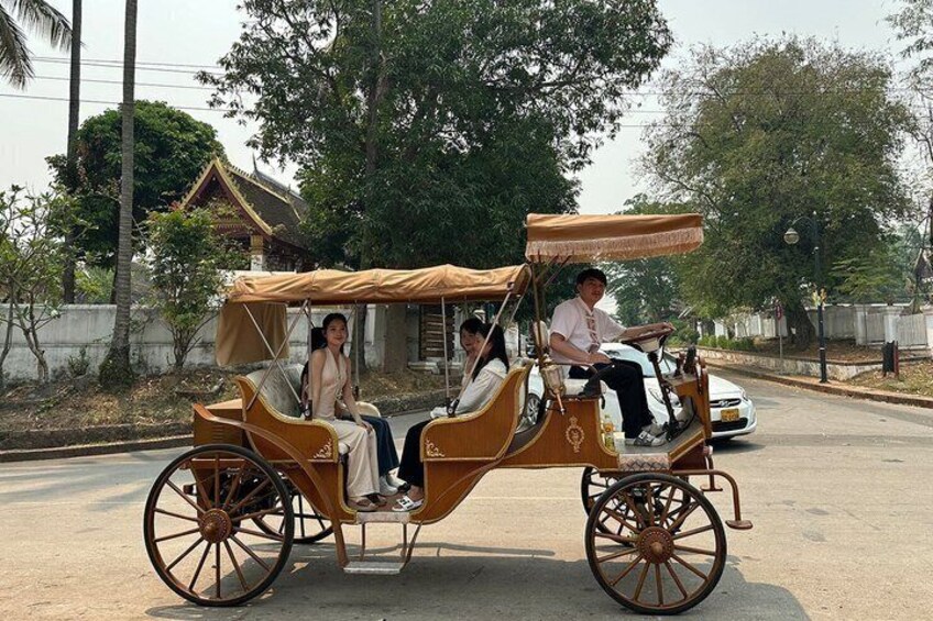 A horse-drawn carriage with passengers on a paved road, surrounded by trees and buildings. 5