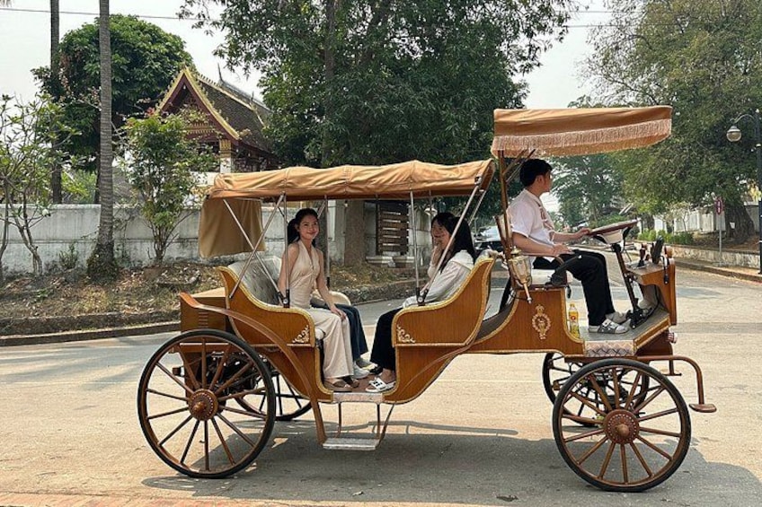 A traditional wooden carriage with a canopy, driven by a person, on a paved road with trees and buildings in the background. 1