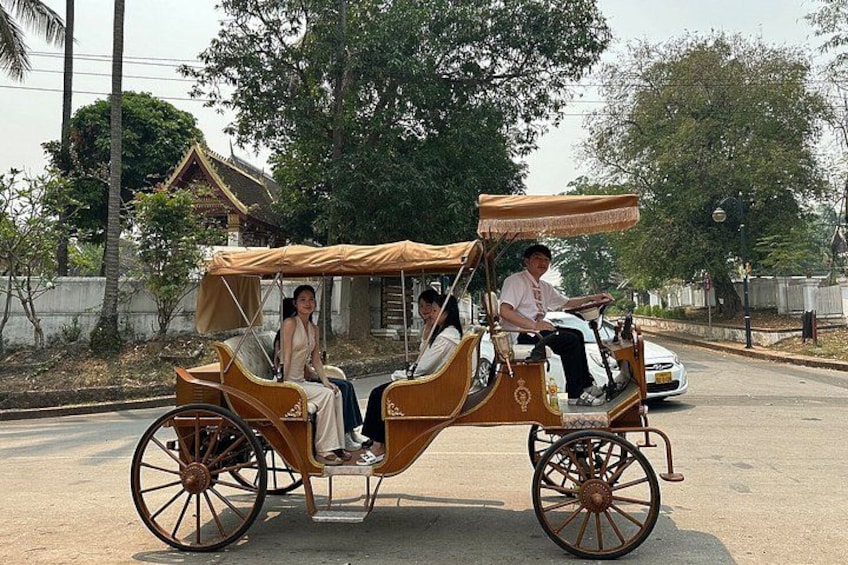 A traditional horse-drawn carriage with passengers on a paved road, surrounded by trees and buildings. 5