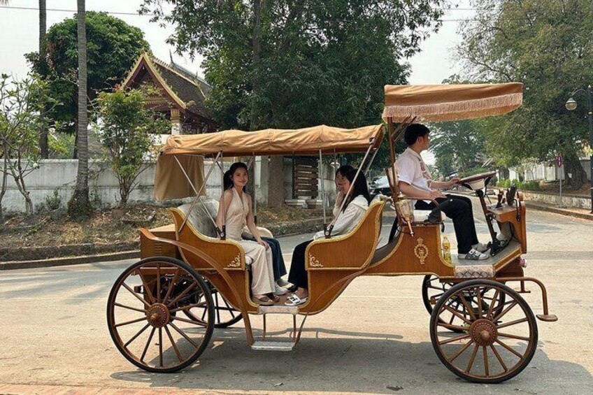 A traditional wooden carriage with a canopy, passengers, and a road with trees and buildings in the background. 1