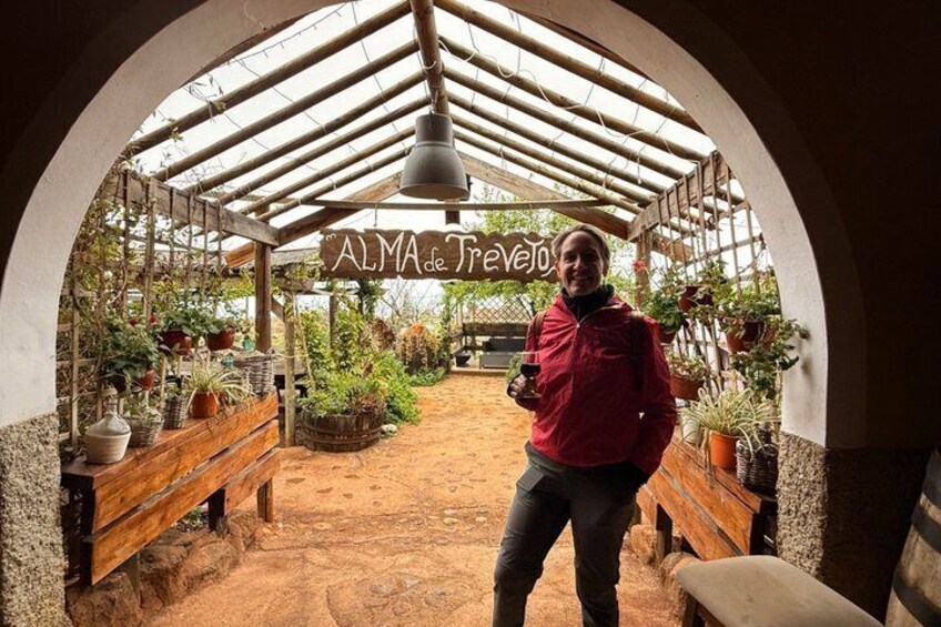Teide Scenic Hike and Winery Experience with Free Pickup 4