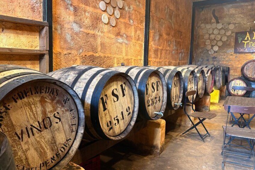 Teide Scenic Hike and Winery Experience with Free Pickup 2