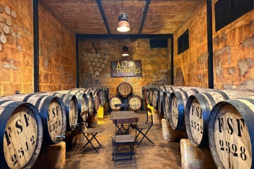 Teide Scenic Hike and Winery Experience with Free Pickup 5