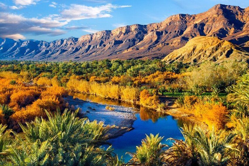 A desert landscape with a river, palm trees, and mountains in the background. 5