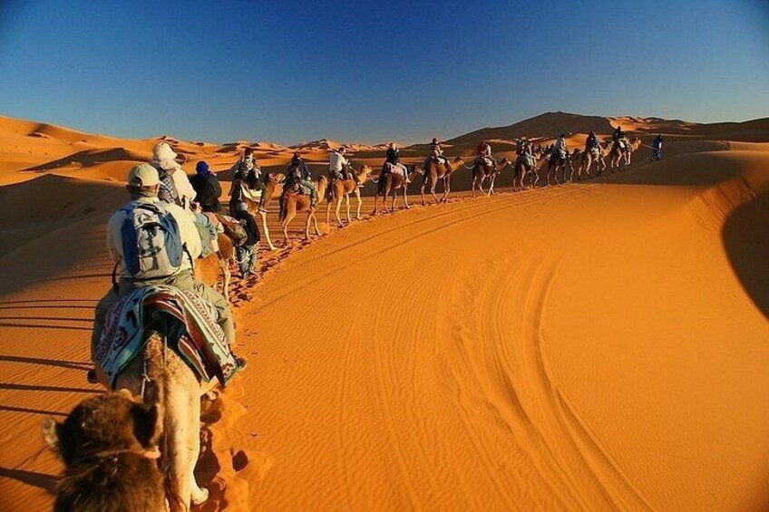 A group of people riding camels on a sandy dune in a desert landscape. 2