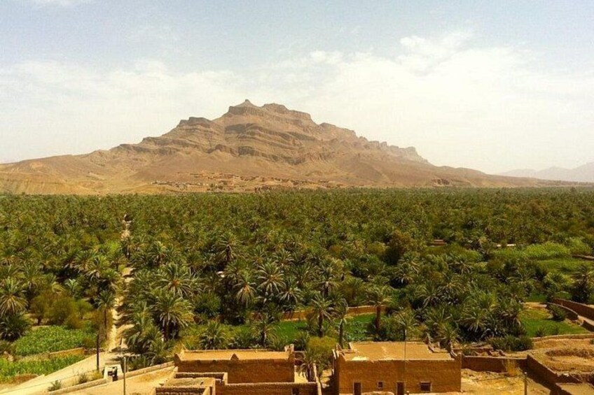 A desert landscape with palm trees, a mountain, and traditional buildings. 4
