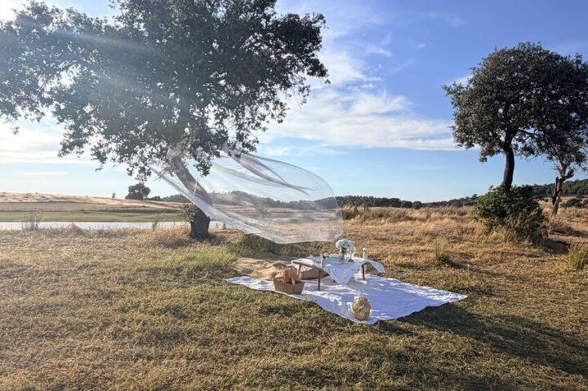 Comporta Slow Luxury Picnic Experience 1