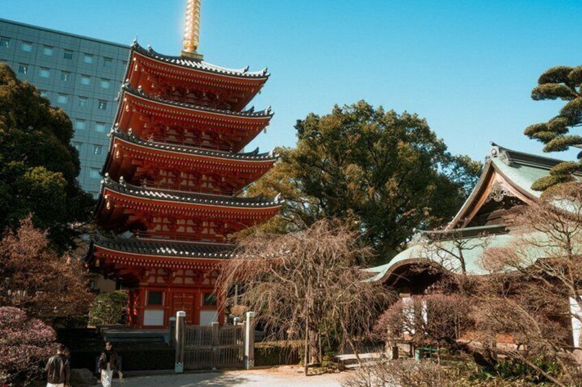 Fukuoka Hakata Old Town Cultural and Food Walking Tour 1