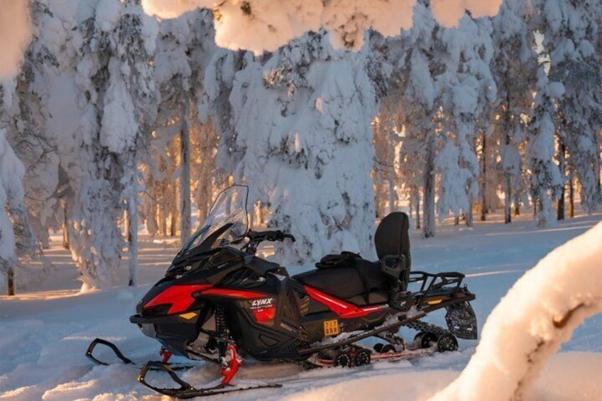 A snowmobile parked in a snowy forest. 1