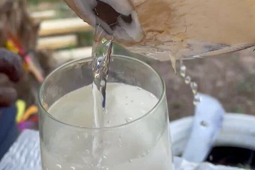 A person pouring a white liquid from a container into a glass. 3
