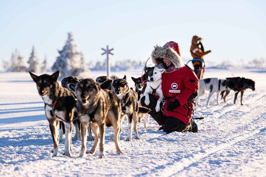 Picture 1 for Activity Bakvattnet: Exclusive Husky Tour – Ansättenfjäll 2