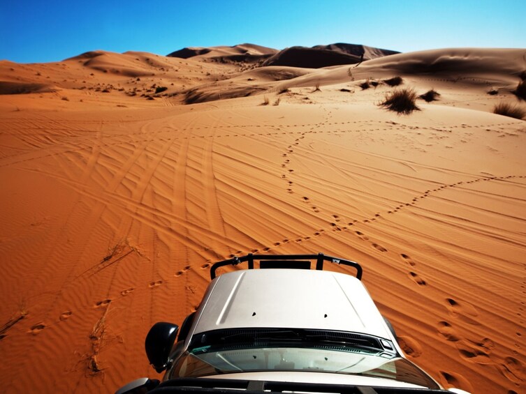 Night in the Desert (Overnight Camping in Salalah) 1