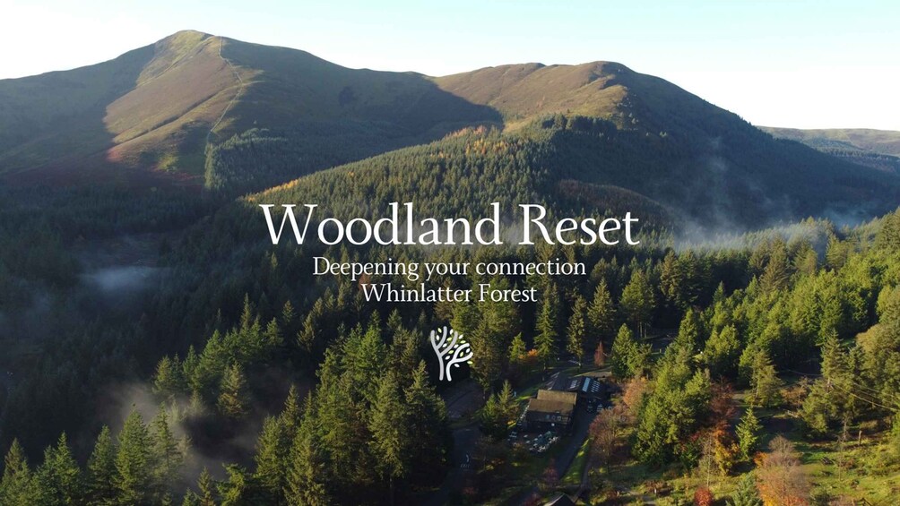 Whinlatter Forest Wellness Day with Sound Bath 1