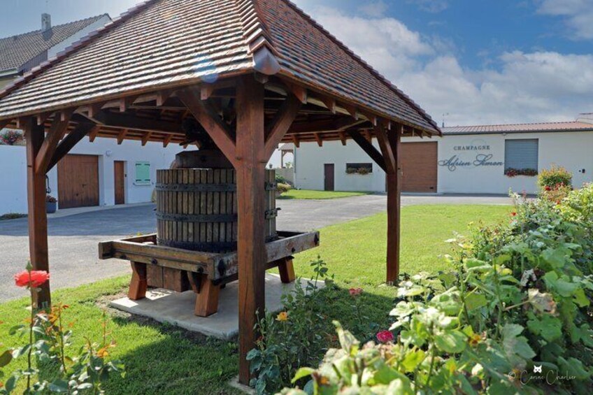 Visit of a family estate of Champagne near Reims 4