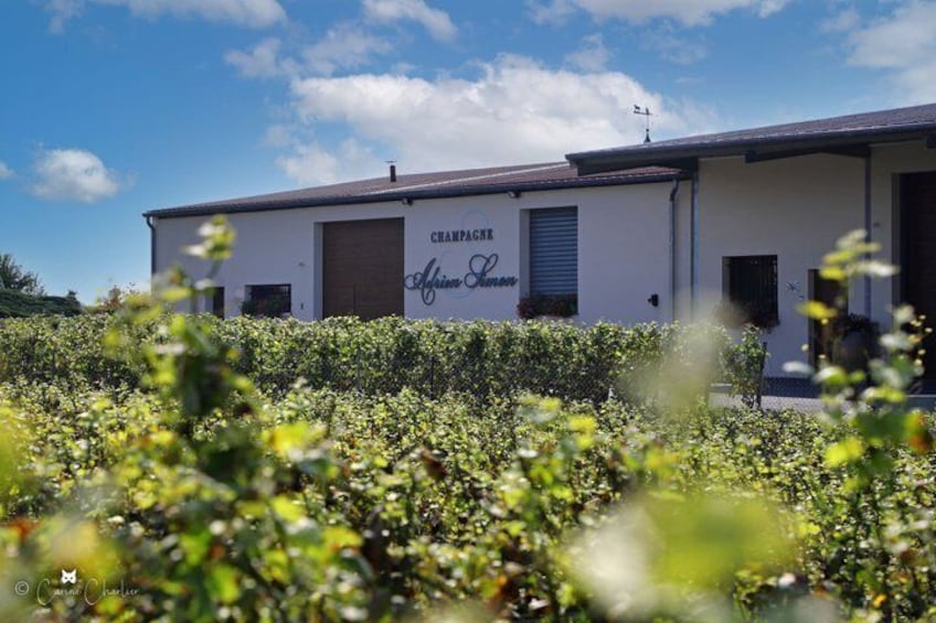 Visit of a family estate of Champagne near Reims 1