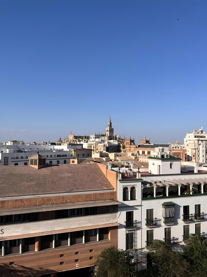 Picture 4 for Activity Seville: Rooftop Terrace with Panoramic Views 2
