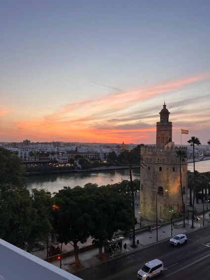 Picture 3 for Activity Seville: Rooftop Terrace with Panoramic Views 3