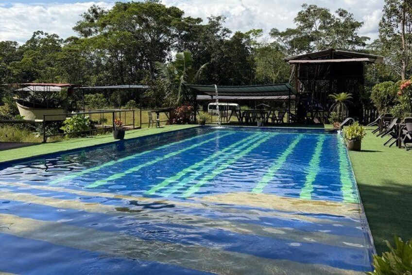 A swimming pool with clear blue water, surrounded by greenery and a covered seating area. 2