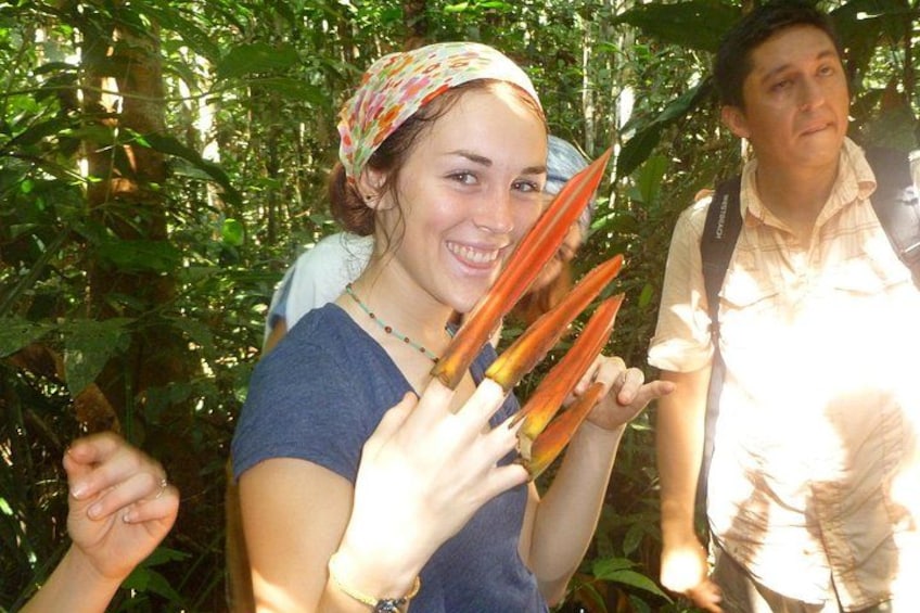 A person holding a plant with long leaves, surrounded by dense green foliage. 3