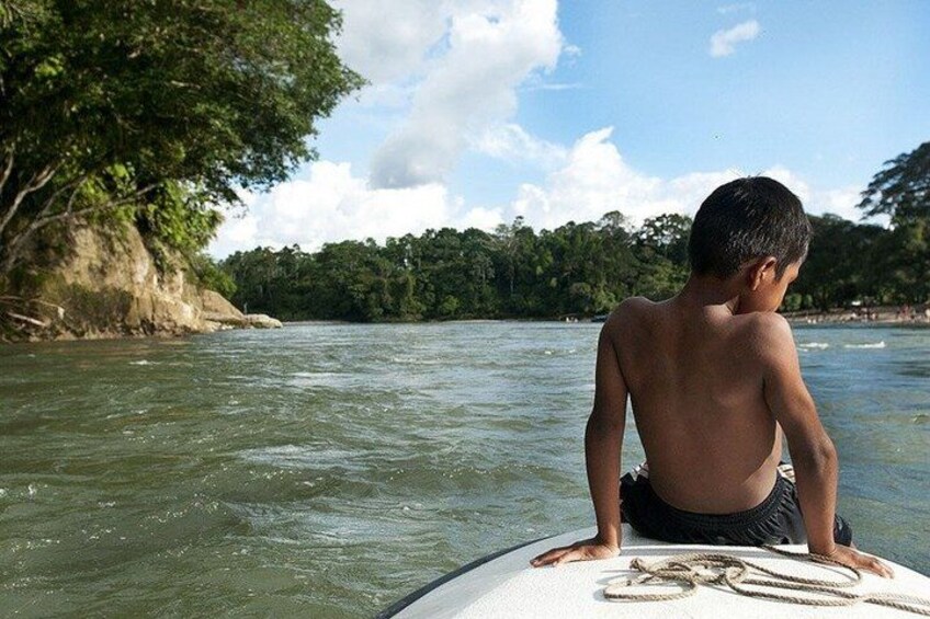 A person on a surfboard in a river with trees and a clear sky. 5