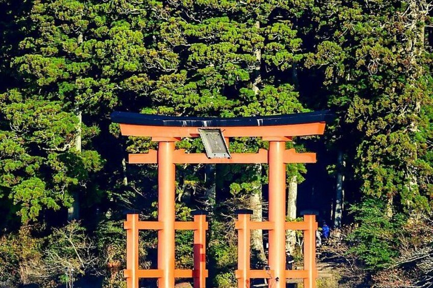 En traditionel japansk torii-port med et solpanel øverst, foran et baggrund af tætte, grønne træer. 5