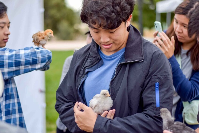 Gilroy: Back-to-Eden Ranch Petting Zoo Experience 1