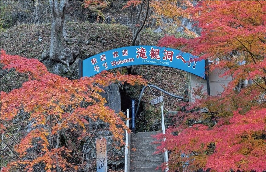 ”roukandou" Caveing Exploration Regular Course 1