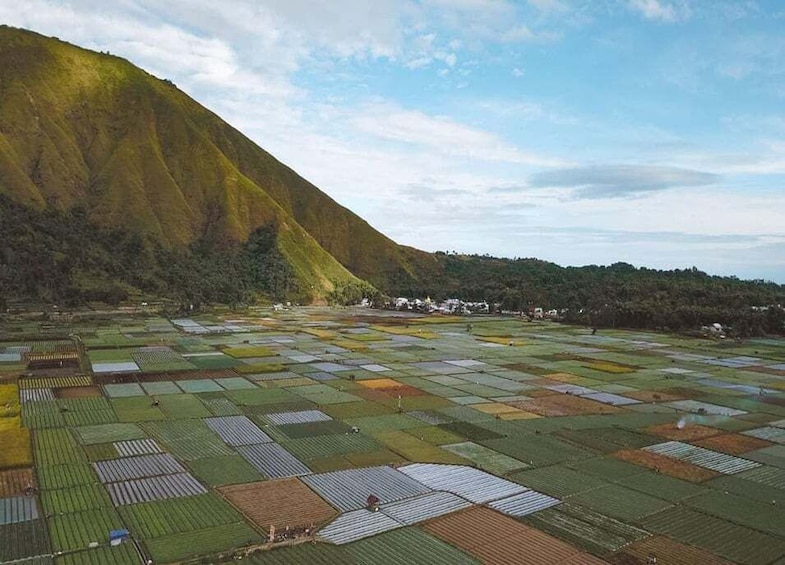 Sembalun Strawberry Farm, Selong Hill & Traditional House 1
