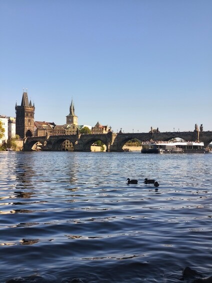 A river with ducks, a bridge, and historic buildings. 5