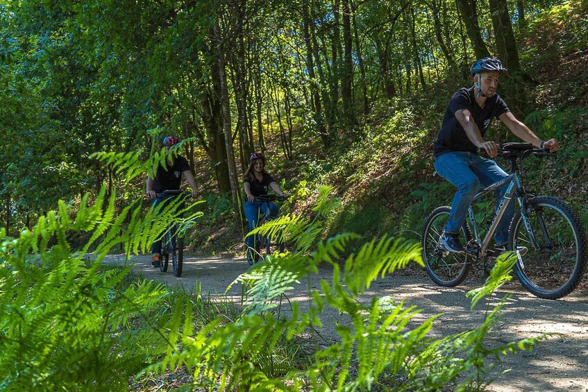 Picture 4 for Activity Bravaes: Pure Nature – Private Outdoor Adventure 5