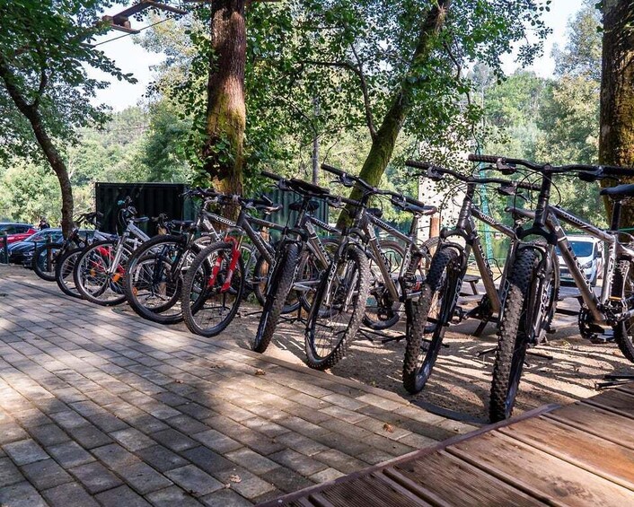 Picture 10 for Activity Bravaes: Pure Nature – Private Outdoor Adventure 2