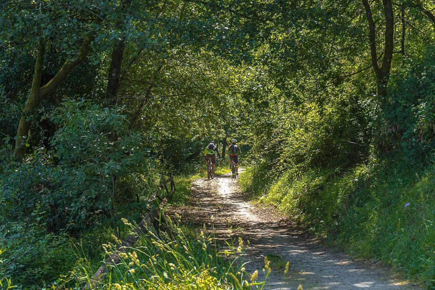 Picture 3 for Activity Bravaes: Pure Nature – Private Outdoor Adventure 4