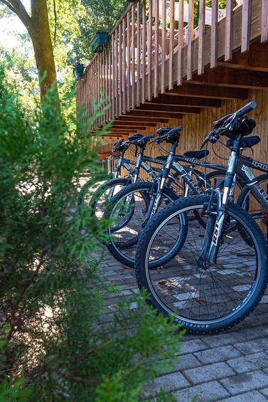 Picture 8 for Activity Bravaes: Pure Nature – Private Outdoor Adventure 3