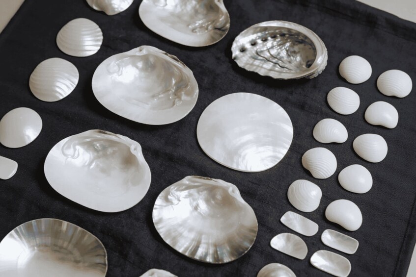 Différents types de coquillages blancs et quelques plaques de métal sur un tissu noir. 4