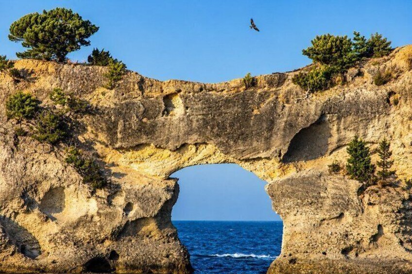 Osaka/Kyoto: Shirahama Cliffs, Beach and Sunset Private Tour 5