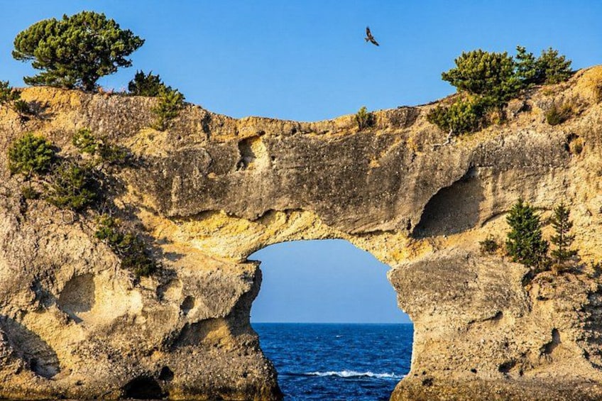 A natural rock arch formation with trees on top and a bird flying above. 5