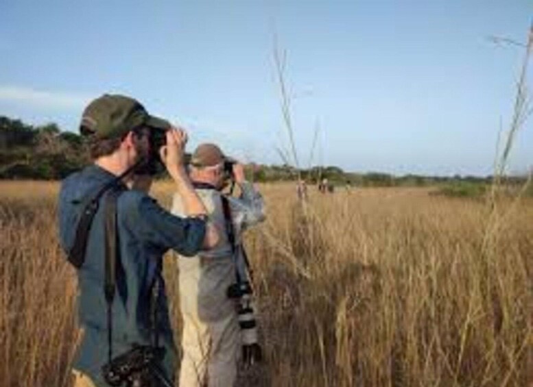 Guinea-Bissau TOUR 1