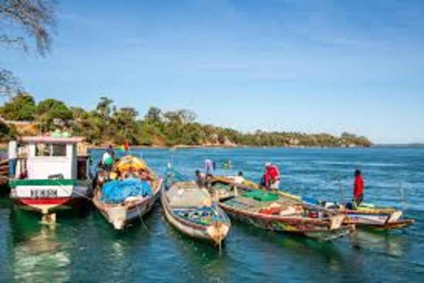 Picture 1 for Activity Guinea-Bissau TOUR 2