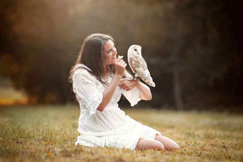 Picture 2 for Activity VIP falconry taster session 4