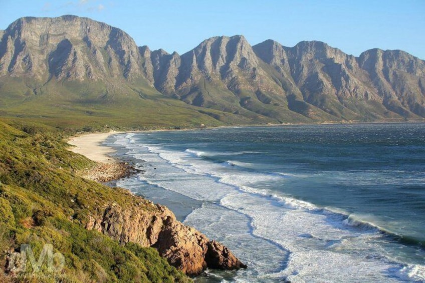 3-Day Garden Route Safari & Coastal Adventure 3