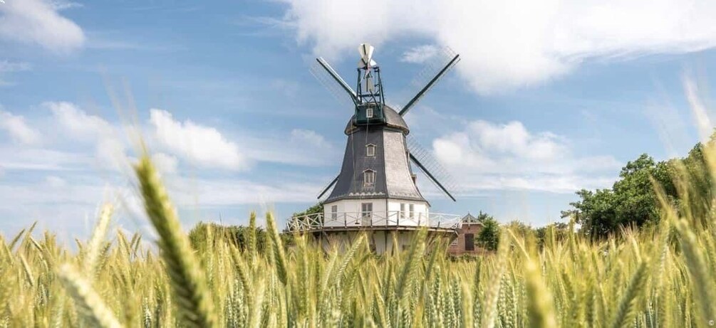 Nordstrand: Day trip by boat to Föhr 2