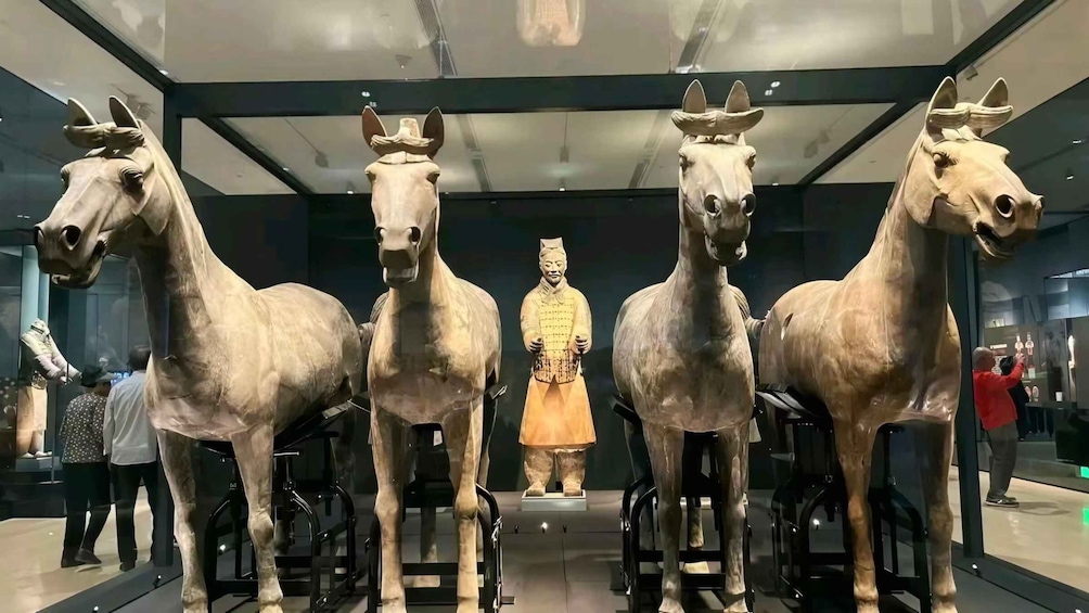 A museum exhibit featuring four horse statues with a human figure in the center. 4