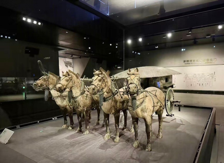 A museum exhibit featuring a chariot with four horses. 3