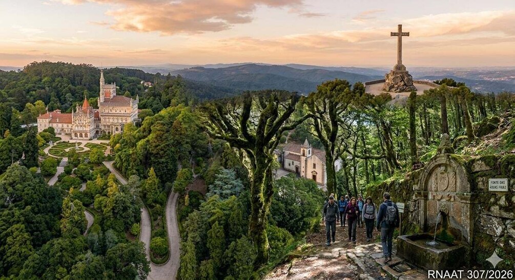 Picture 3 for Activity Package: Transfer from Porto + Buçaco Tour (All Inclusive – Excluding Lunch) 2