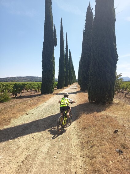 Picture 2 for Activity Cairanne: Renting electric bikes and family accessories 2