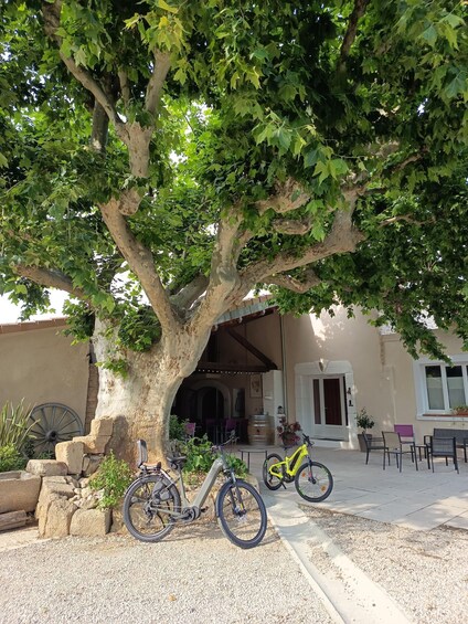 Cairanne: Renting electric bikes and family accessories 1